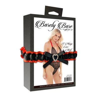 V PLUNGE LACE & MESH TEDDY