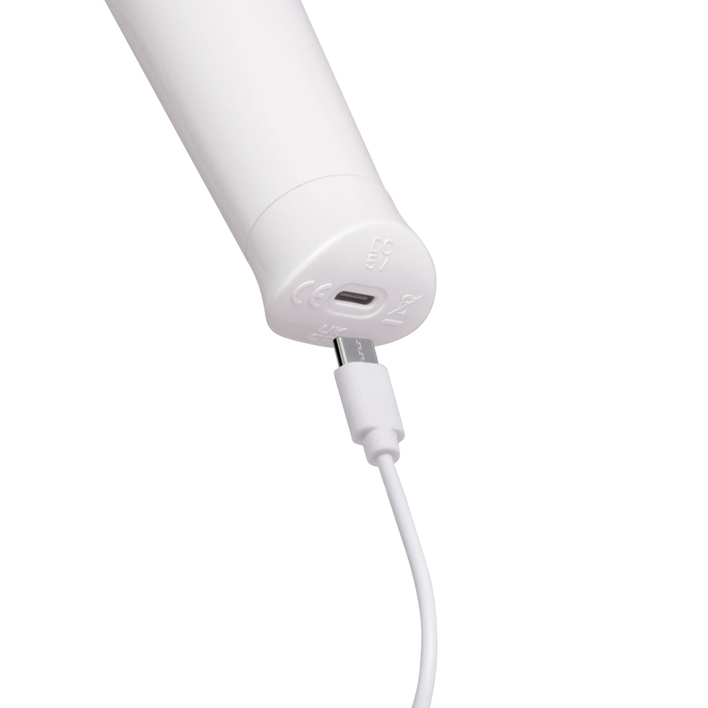 Le Wand Classique Petite Rechargeable Cordless Wand Massager