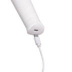 Le Wand Classique Petite Rechargeable Cordless Wand Massager