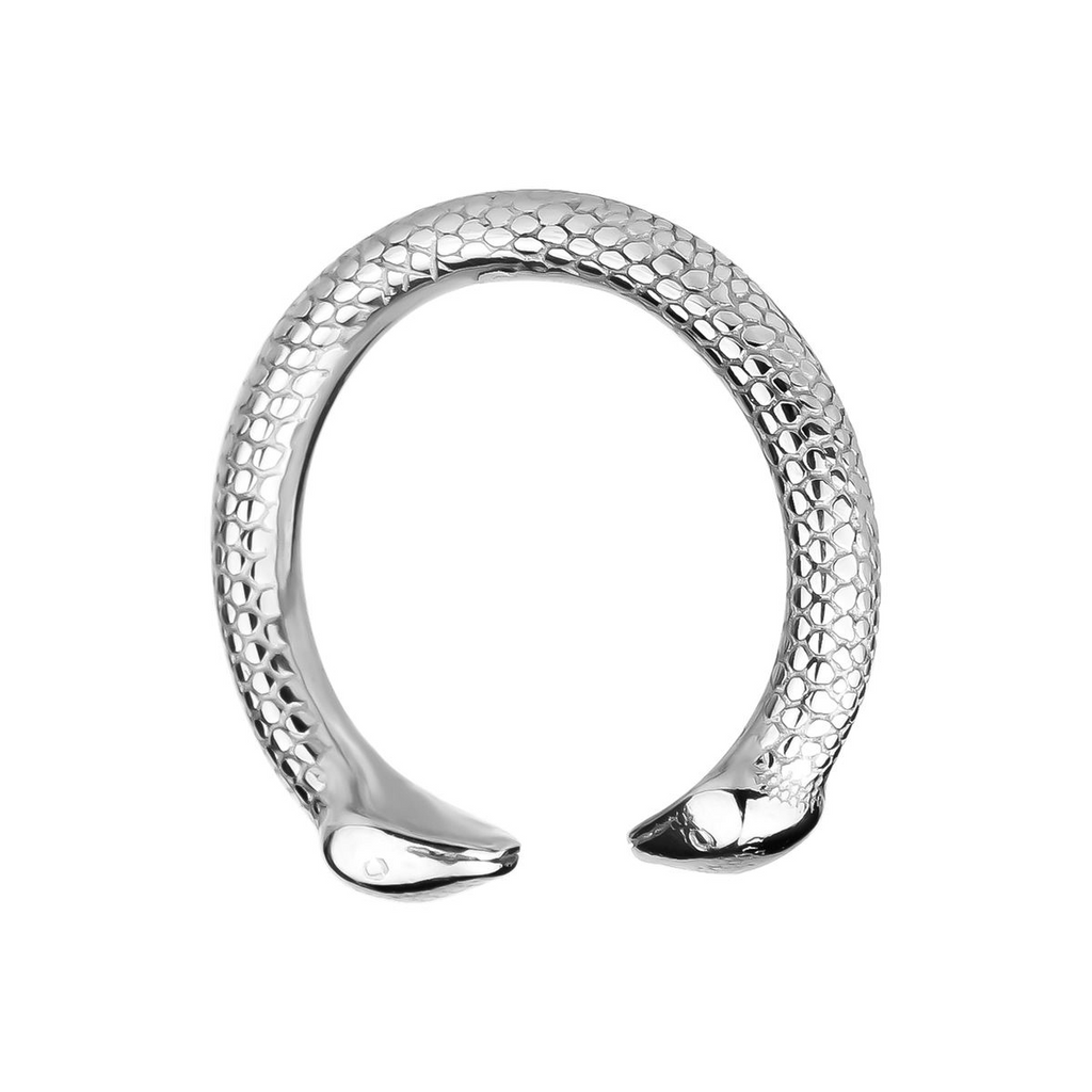 Penis Ring Silver