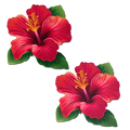 Tropical Vibrant Red Hawaiian Hibiscus Botanical Flower Breast Pasties