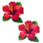 Tropical Vibrant Red Hawaiian Hibiscus Botanical Flower Breast Pasties