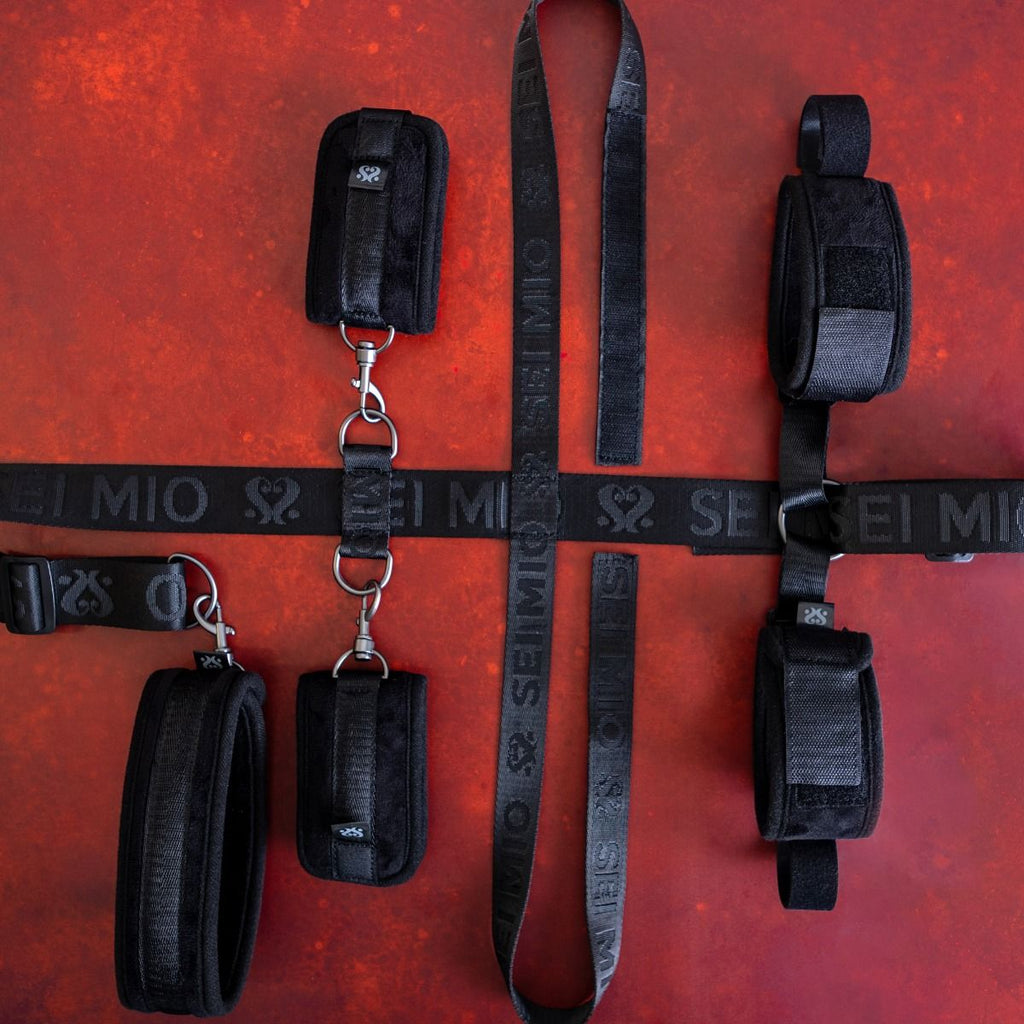 SEI MIO - Seated and Mistreated - Unique Under Chair Restraint System