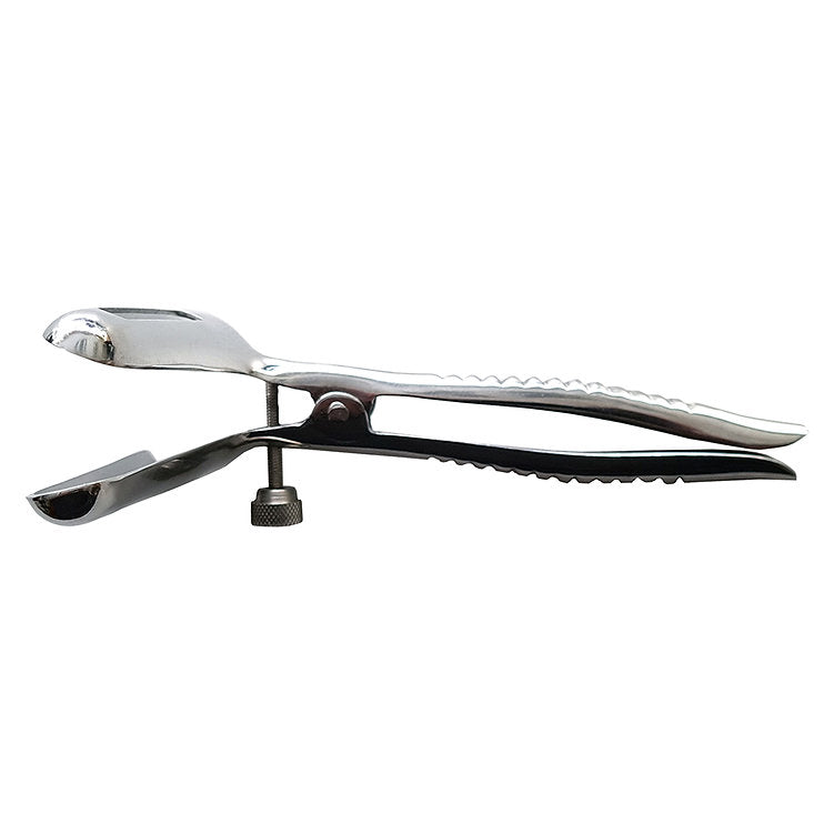 Stainless Steel Anal Speculum