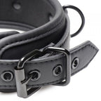 Collared Temptress Collar/Nipple Clamps