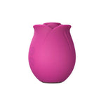Blush Collection The Original Blush Rose
