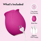 Blush Collection The Original Blush Rose