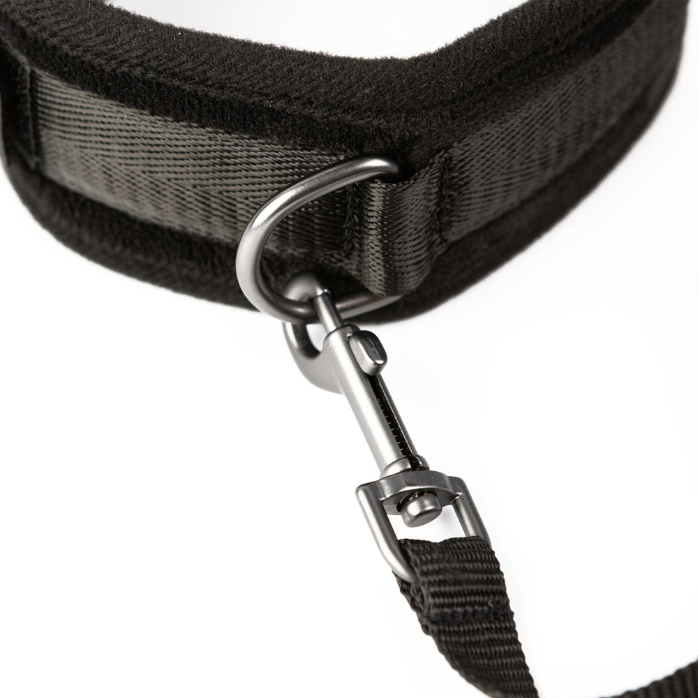 SEI MIO Take the Lead Padded Collar/Leas