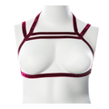 Gender Fluid Sugar Coated Harness S-L *