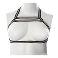 Gender Fluid Silver Lining Harness S-L *