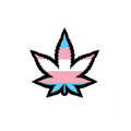 Enamel Pin: Trans Weed Leaf