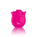 Zen Rose - Hot Pink - Handheld Rose