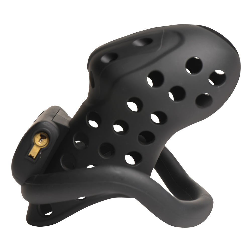 Lock Down Chastity Cage