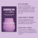 Rose To The Top Vibe - Cosmo