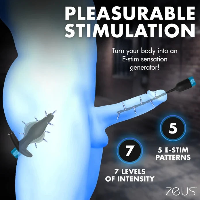 Inflatable Anal Plug & Urethral Sound E-Stim Kit w/remote
